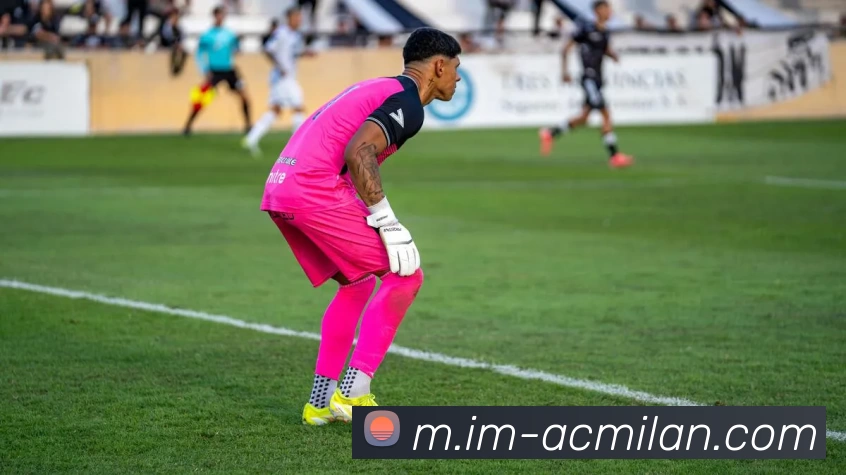 米兰体育服务体系